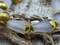 *8* 8x15mm Gold Tipped Milky White Picasso Faceted Drop Beads